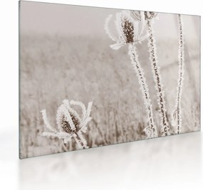 Tablou pe sticlă - Ciulinul în timpul iernii (70x50 cm)