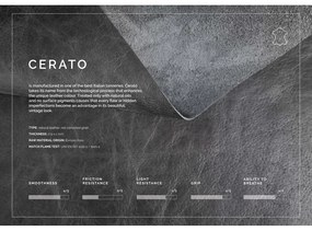 Canapea din piele MESONICA Puzo, maro