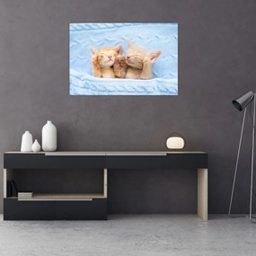 Tablou - Pisicuțe adormite (90x60 cm)