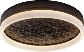 Rabalux 71523 - LED reglabil (compatibil cu dimmer) plafonieră TIMMO 24W/230V 3000-6500K Ø 40 cm negru + telecomandă inclusă