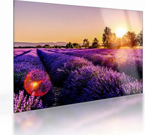 Tablou pe sticlă cu câmp de lavanda (70x50 cm)