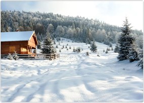 Tablou - Cabană de munte (70x50 cm)