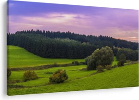 Tablou cu lunca (90x60 cm)