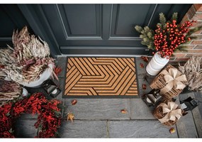 Covoraș de intrare din fibre de nucă de cocos 45x75 cm Labyrinth – Hanse Home