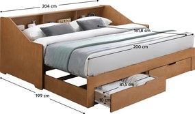 Pat extensibil, stejar, MONETA