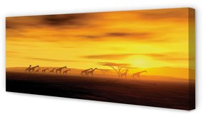 Tablouri canvas Copac cer nori girafă