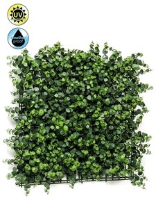 Perete artificial - Eucalyptus - 50 x 50 cm