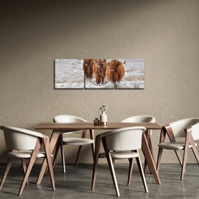 Tablou - Vaci scoțiene (cu ceas) (90x30 cm)