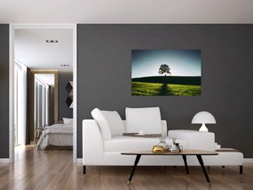 Tablou cu natura - copac (90x60 cm)