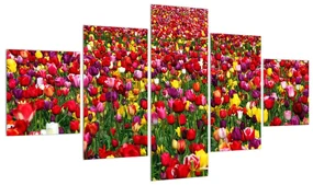 Tablou pe pânză K010971K12570 (125x70 cm), în 40 de alte dimensiuni noi