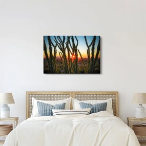 Tablou - Plante (90x60 cm)