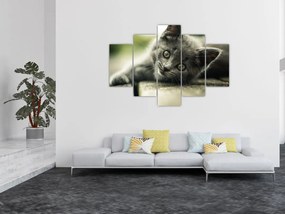 Tablou cu pisicuța (150x105 cm)