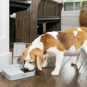 PetSafe® Hrănitoare automată cu 2 mese pentru animale de companie