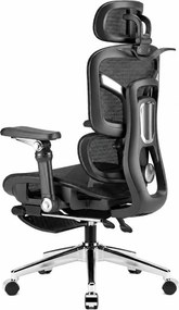 NEXORA – Scaun ergonomic, suport lombar 3D adaptiv, tetieră 4D, cotiere 9D, șezut glisant, recliner 135°, suport pentru picioare, bază metalică, Mesh, Negru