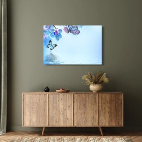 Tablou - Fluture pe flori de orhidee, albastru (90x60 cm)