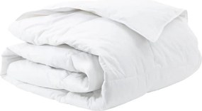 vidaXL Duvet de iarnă Alb 240 x 220 cm Pene