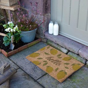 Covoraș de intrare din fibre de nucă de cocos 40x60 cm Hello Lemons – Artsy Doormats