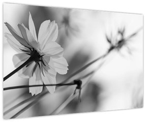 Tablou - Flori alb-negru (90x60 cm)