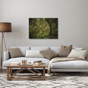 Tablou pe sticlă cu copaci (70x50 cm)