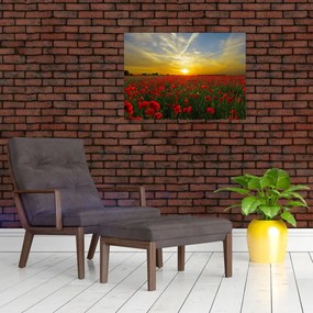 Tablou pe sticlă cu câmp cu maci (70x50 cm)