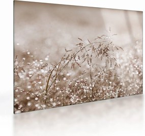 Tablou pe sticlă - Pajiște în tonuri de maro (70x50 cm)