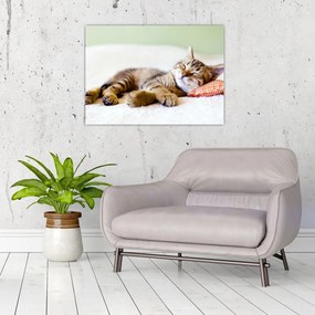 Tablou pe sticlă - Pisicuța adormită (70x50 cm)