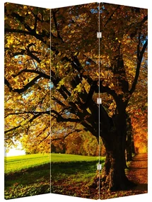 Paravan - Copac toamna (126x170 cm)