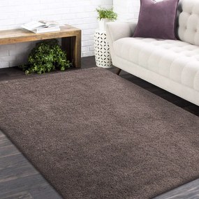 Covor elegant în culoarea cappuccino Lăţime: 120 cm | Lungime: 170 cm