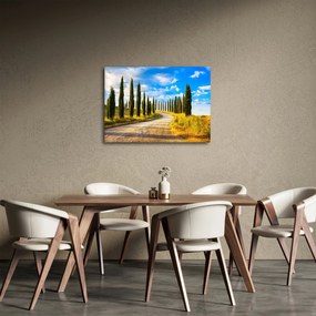 Tablou - Peisaj (70x50 cm)