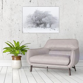 Tablou pe sticlă - Iarnă albă (70x50 cm)
