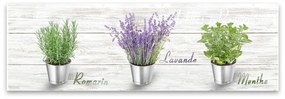 Tablou Styler Canvas Shabby Herbs, 27 x 75 cm