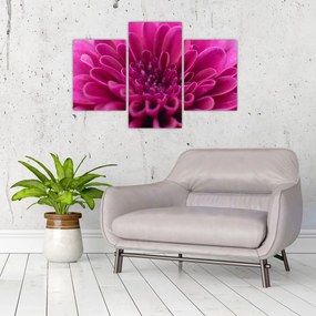 Tablou cu floare (90x60 cm)