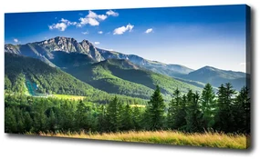 Print pe canvas Dealul din tatra