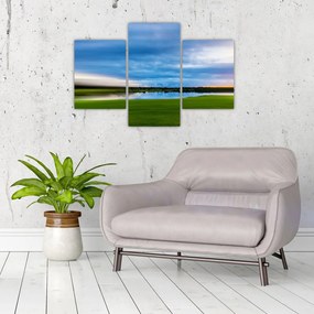 Tablou cu lunca (90x60 cm)