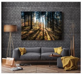 Tablou Styler Glasspik Autumn Sunset, 70 x 100 cm