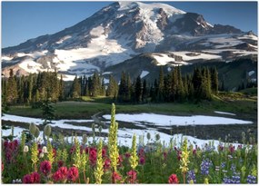 Tablou - Muntele Rainier (70x50 cm)