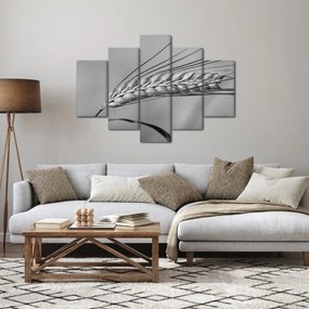Tablou - Grâu,alb-negru (150x105 cm)