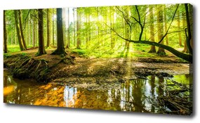 Tablou pe pânză canvas Iazul în pădure