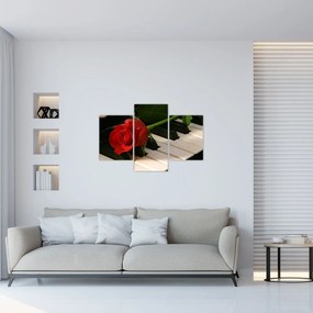 Tablou - Pian și trandafiri (90x60 cm)