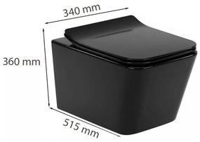 Roya Tina 81GRE set rezervor de toaletă de perete negru