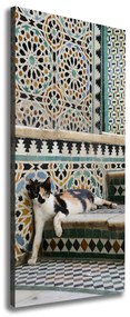 Pictură pe pânză Cat în Maroc
