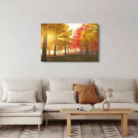 Tablou cu copaci toamna (90x60 cm)