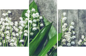 Tablou cu lăcrimioare (90x60 cm)