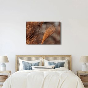 Tablou - Cortaderie (90x60 cm)