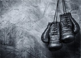 Tablou - Mănuși de box (70x50 cm)