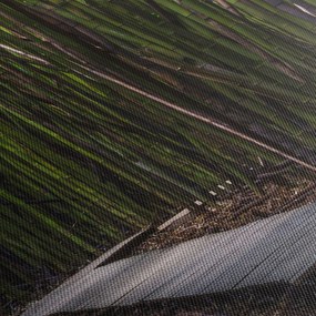 Tablou - Între bambus (cu ceas) (90x30 cm)