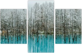 Tablou - Pescărie turcoaz, Biei, Japonia (90x60 cm)