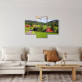 Tabloul cu țară (90x60 cm)