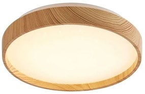 Plafonieră LED Rabalux 71143 LEANA LED/12W/230V 3000K d. 26 cm