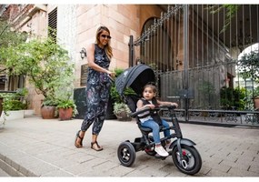 Tricicletă pentru copii 3 în 1 QPlay RITO AIR negru